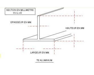 TES 50x50x6 GALVA A CHAUD ACIER s235