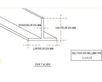 FER TE ACIER 25 X 25 X3.5 MM NOIR S235